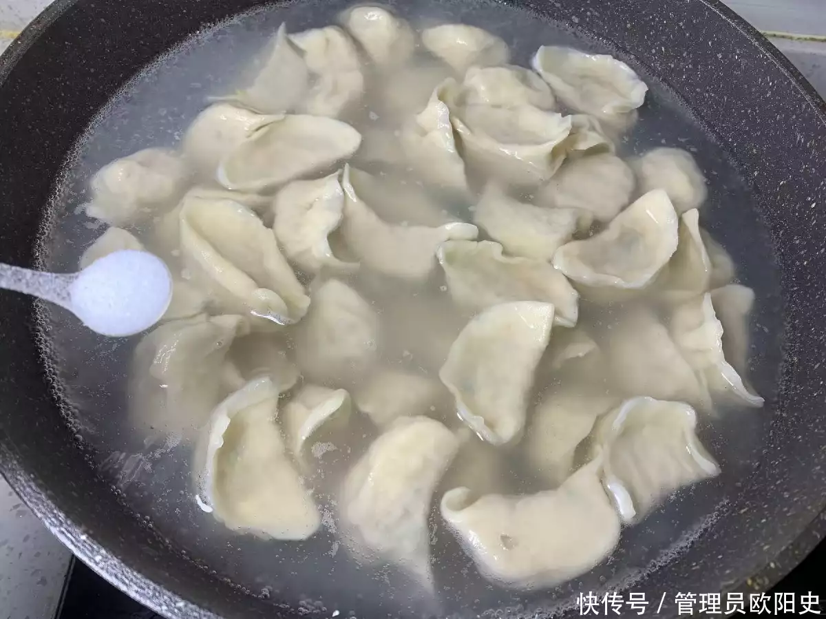 怎么煮饺子（怎样煮饺子不容易烂） 第3张