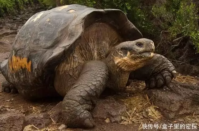 玛雅人预言2019年地球（玛雅人预言哪一年是世界末日） 第7张