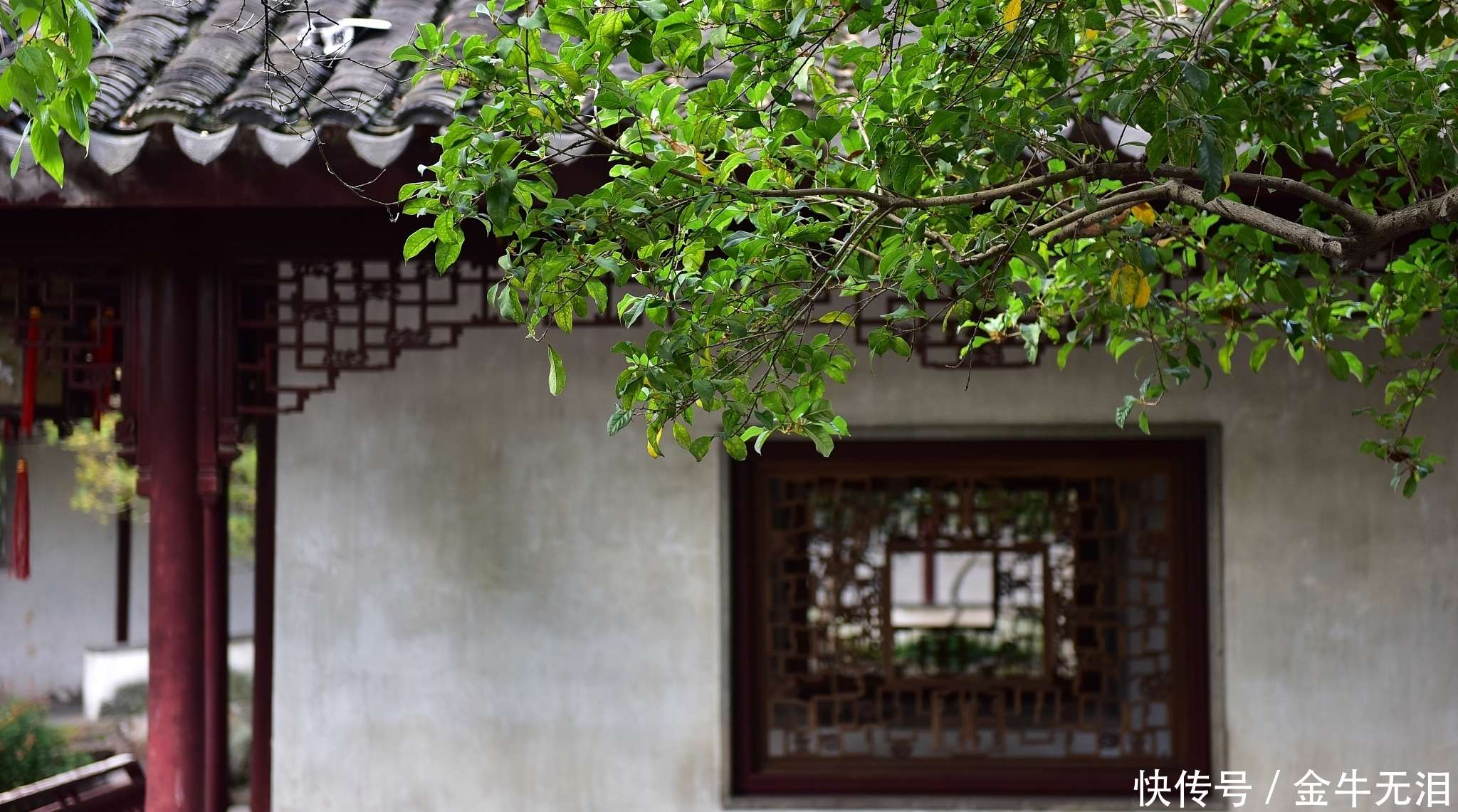 归有光《项脊轩志》:以极淡之笔写极浓之情的典范之作_【快资讯】