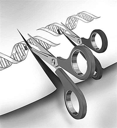 引发伦理争议和忧虑 基因编辑CRISPR/Cas9新技术路在何方?_【快资讯】