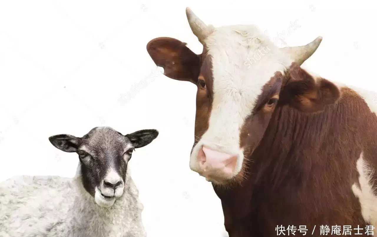 太疯狂了（美国的牛肉多少钱一斤?）美国牛肉很便宜，美国牛肉8元一斤，为何国人都不买，宁愿买40一斤的国产牛肉？为什么同是人口大国，印度患癌率却仅是我国的三分之一？原因是啥，期末自我评价500字高中生，kaz，