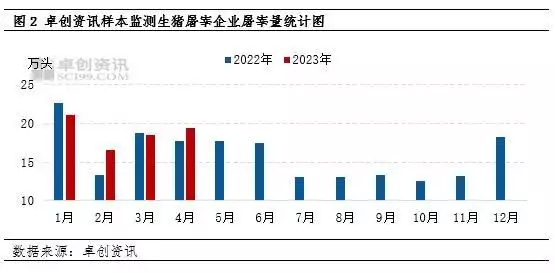 猪肉的做法大全（野生猪肉的做法大全） 第2张