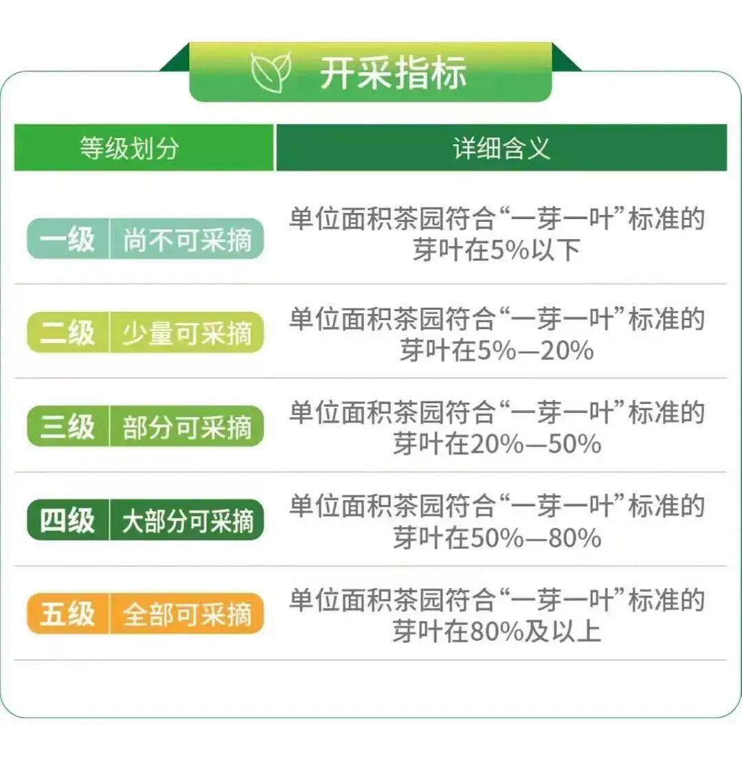 安徽已进入茶叶采摘生产旺季他55年连师长都不是，为什么毛主席却坚持要授予他开国上将军衔？-第2张图片-福建名茶