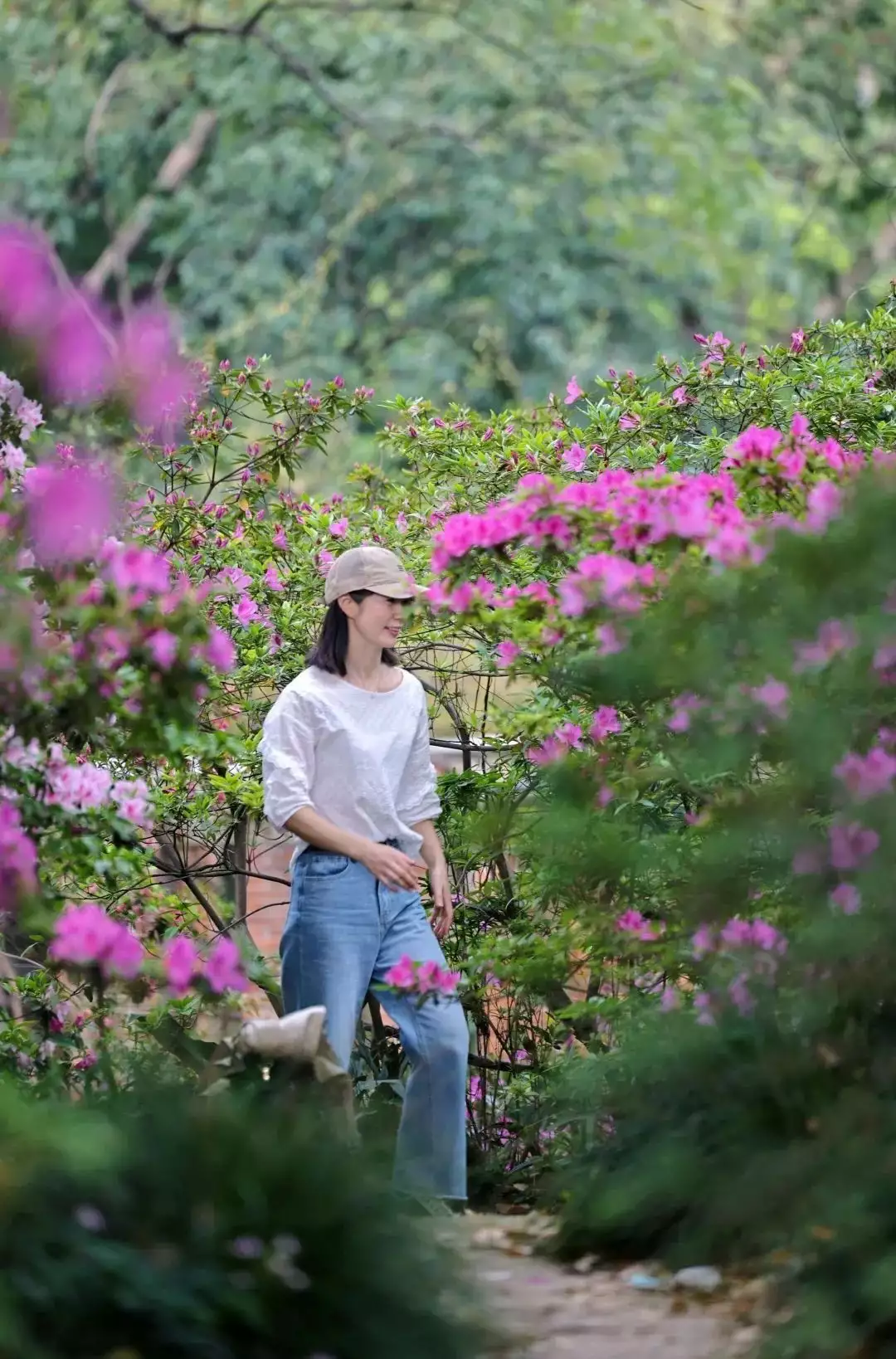 踯躅花（踯躅花图片） 第10张