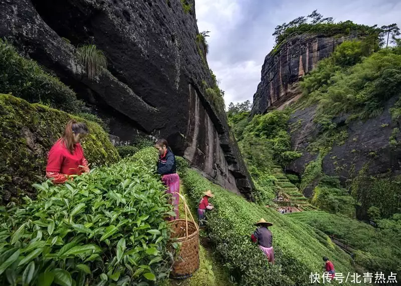 人类非遗在福建（人类非物质文化遗产都有什么） 第2张