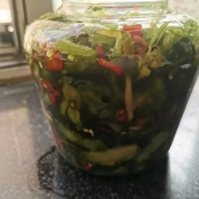云南水腌菜韩国夫人带火了一种新穿法：叫“外素里艳”，优雅减龄又显气质-云南水腌菜图片