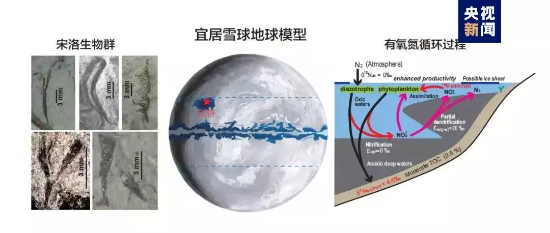 中国地质大学研究团队提出6.35亿年前“雪球地球”新模型重庆“好色院长”:玩护士，情妇20多个，罪行写日记里做炫耀资本