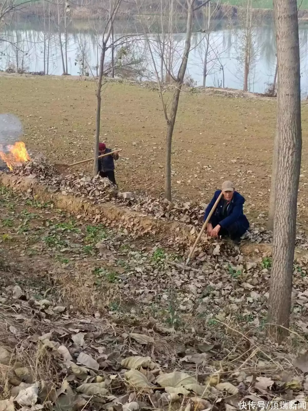 绿化树（绿化树张贤亮故事梗概） 第2张