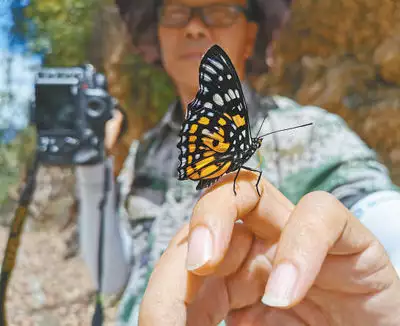 不看后悔（返景入深林的下一句是什么）返景入深林的下一句是什么诗 第2张