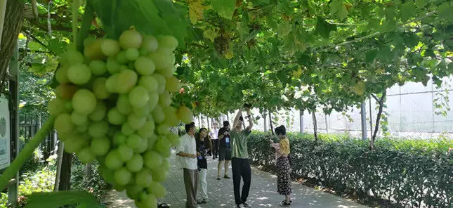 浙江上虞：笔墨千年“唐诗路”绘就文旅“全景图”周迅半裸人体模特画曝光，一幅卖184万！ 第9张