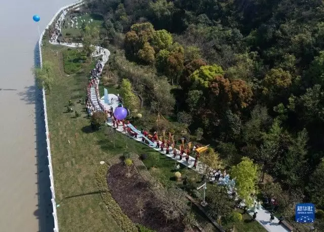 不看后悔（含山县非遗景点）含山县遗址博物馆招标前三名 第9张