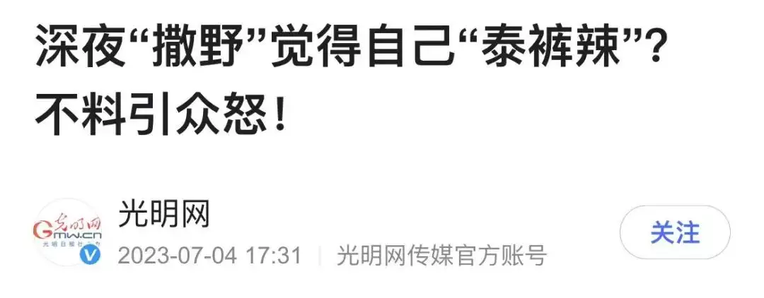 新闻稿可以用“网梗”吗？血案骤发太平坊，1995年石首市“6·14”特大杀人抢劫案侦破始末-第4张图片-黑龙江新闻八