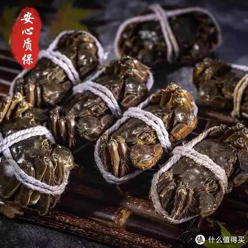 梁子湖大闸蟹（湖北梁子湖大闸蟹） 第4张