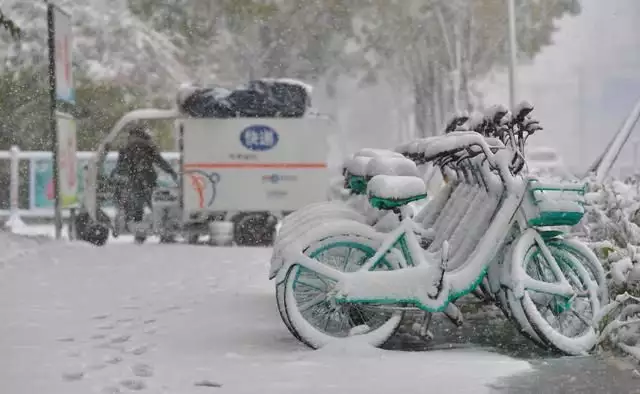 记者直击东北暴雪 因雪太大没去成（东北特大暴雪视频大全） 第9张