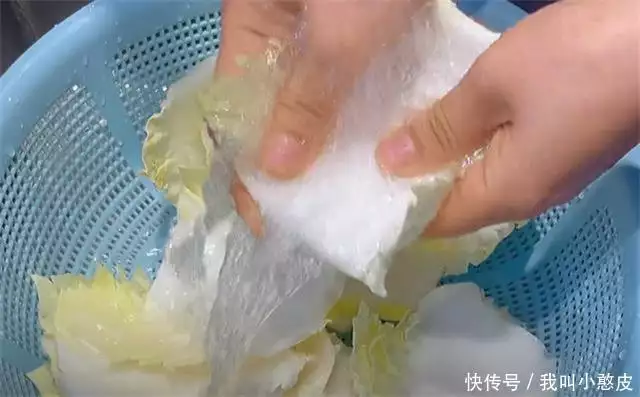 白菜帮（白菜帮子上面有黑斑能吃吗） 第2张