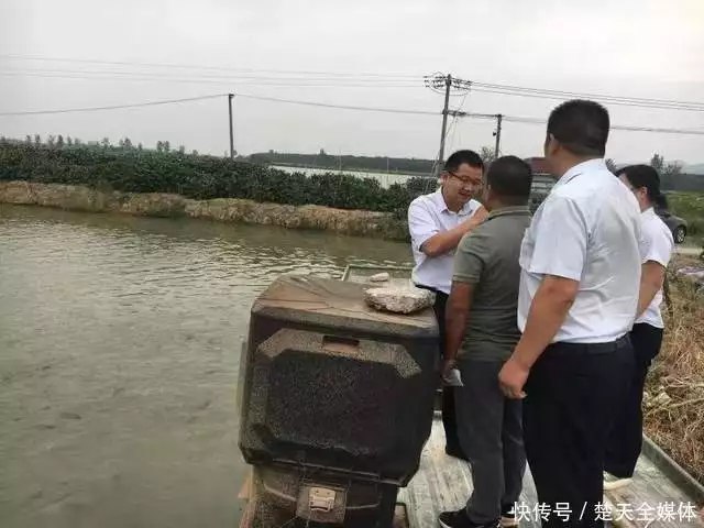 担担鸡（担担面怎么做?） 第2张