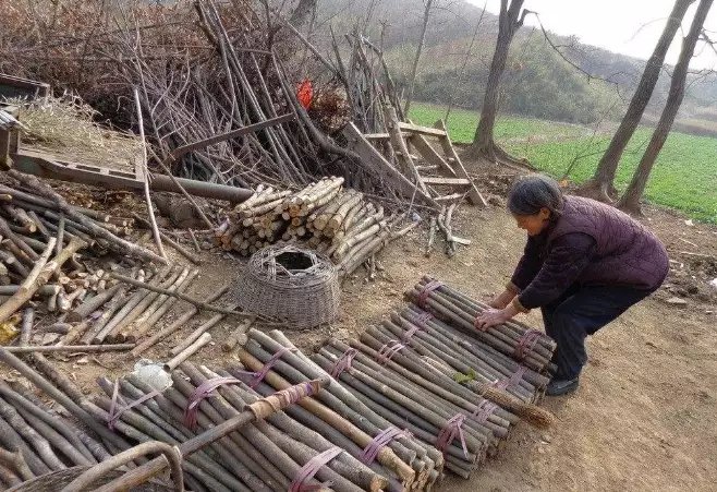 老鹅（老鹅汤的做法 最正宗的做法视频）