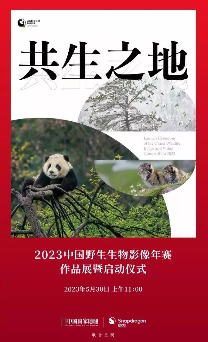 骁龙移动平台加持手机摄影！2023 中国野生生物影像年赛即将来袭湖北男子比继女大11岁，相处宛如兄妹，妻子吃醋：以为你俩是一对