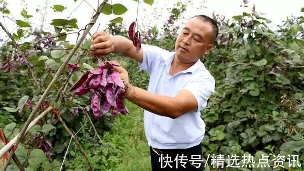 鍐滀笟鏂伴椈_鍐滀笟瑕侀椈_鍐滀笟瑕侀椈鏄粈涔?/