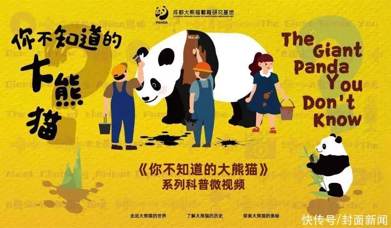 国际熊猫日 | 到天府国际机场看“熊猫”“打卡”生物多样性科普知识“中国巨星”到“查无此人”，47岁的赵薇，到底干了什么落此下场插图8