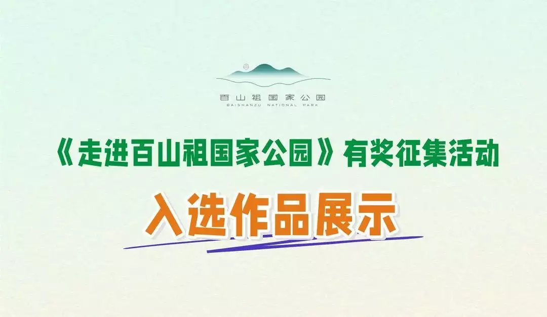 才几天！百山祖园区又发现虫豸界“大熊猫”！（百山祖国度公园百山祖办理局德律风）