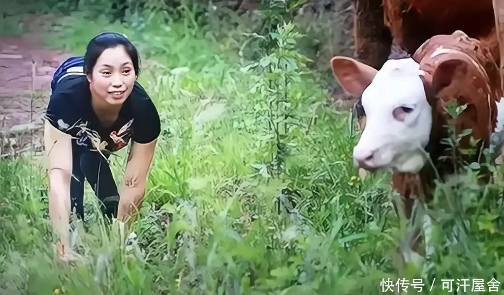 奔走相告（女子骗奶奶说怀孕了）奶奶骗孩子妈妈在土里睡着了 第6张