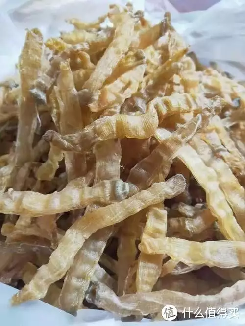 沙虫的作用（沙虫干煲汤最佳搭配）