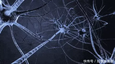 章鱼有9个大脑能编辑基因，智商高到无法理解，为啥没发展出文明为何地球选择碳基生命？