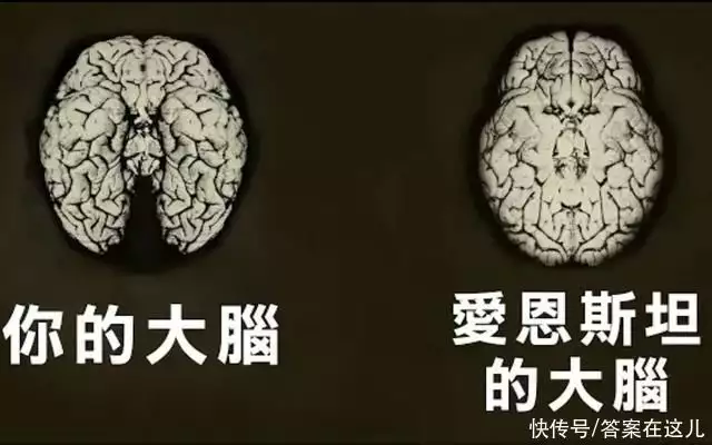 人类的大脑其实很可怕（人类的大脑太强了 太离谱了） 第7张