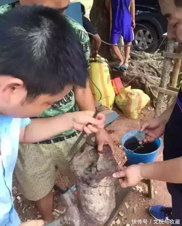 赌花（赌场上花什么意思） 第5张