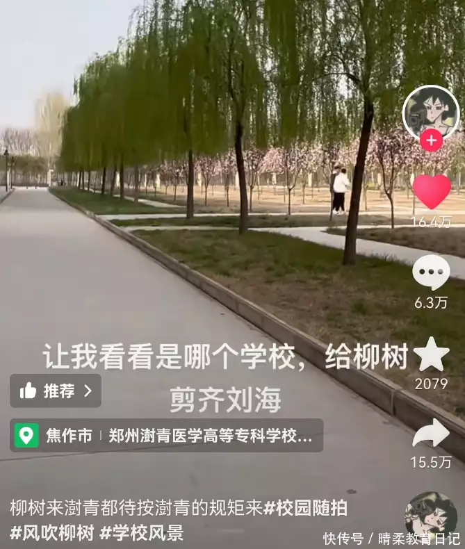 笑树（笑树的特点是什么） 第2张