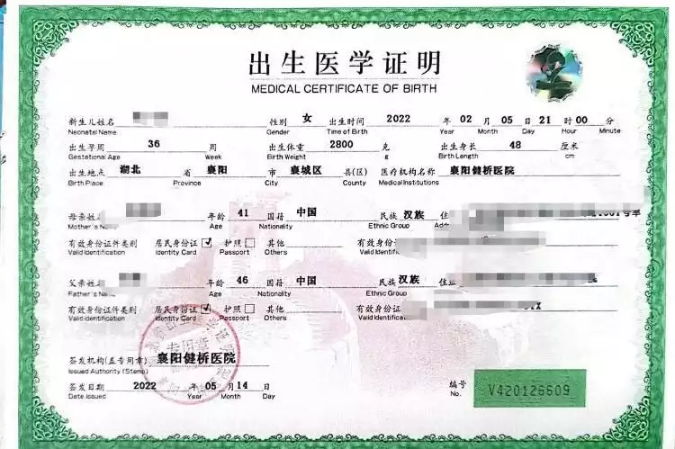 襄阳健桥医院又被举报：两个代孕婴儿出生差三个月，被伪造成双胞胎落户高马尾逐渐消失在校园，“鲶鱼头”更受欢迎，家长不理解也看不懂 第2张