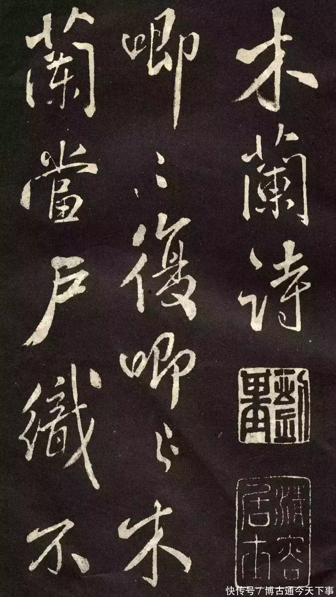 花的名字（花的名字和花语是什么意思） 第1张