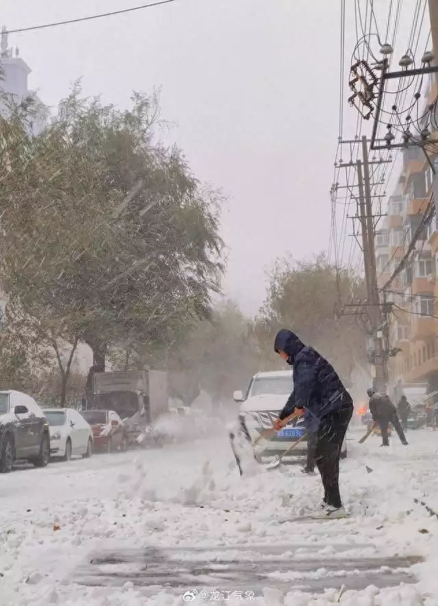 记者直击东北暴雪 因雪太大没去成（东北特大暴雪视频大全） 第1张