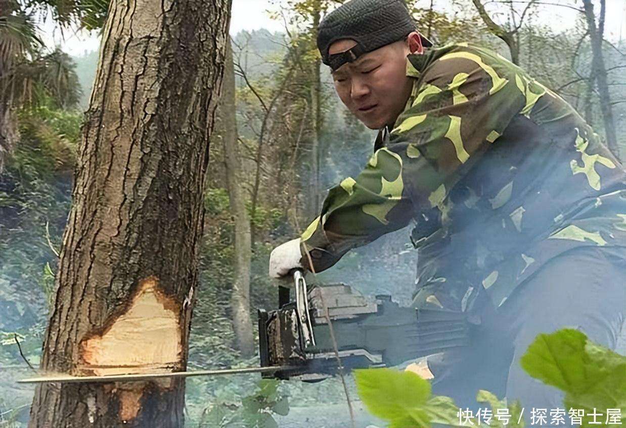 把树种邻居院里12年，新邻居搬来后直接把树砍光，女子：赔我30万_【快资讯】
