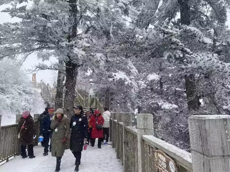 成都春节耍法多！西岭雪山迎瑞雪、西博城里开飞机一组晚清时青楼女的真实照片：图8是花魁，图9则惊艳了岁月