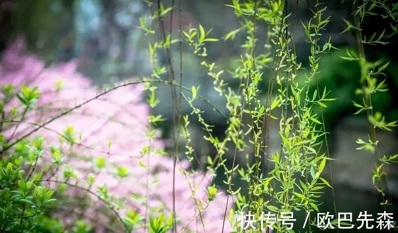 原创（送别的古诗）送别古诗王维的意思 第3张