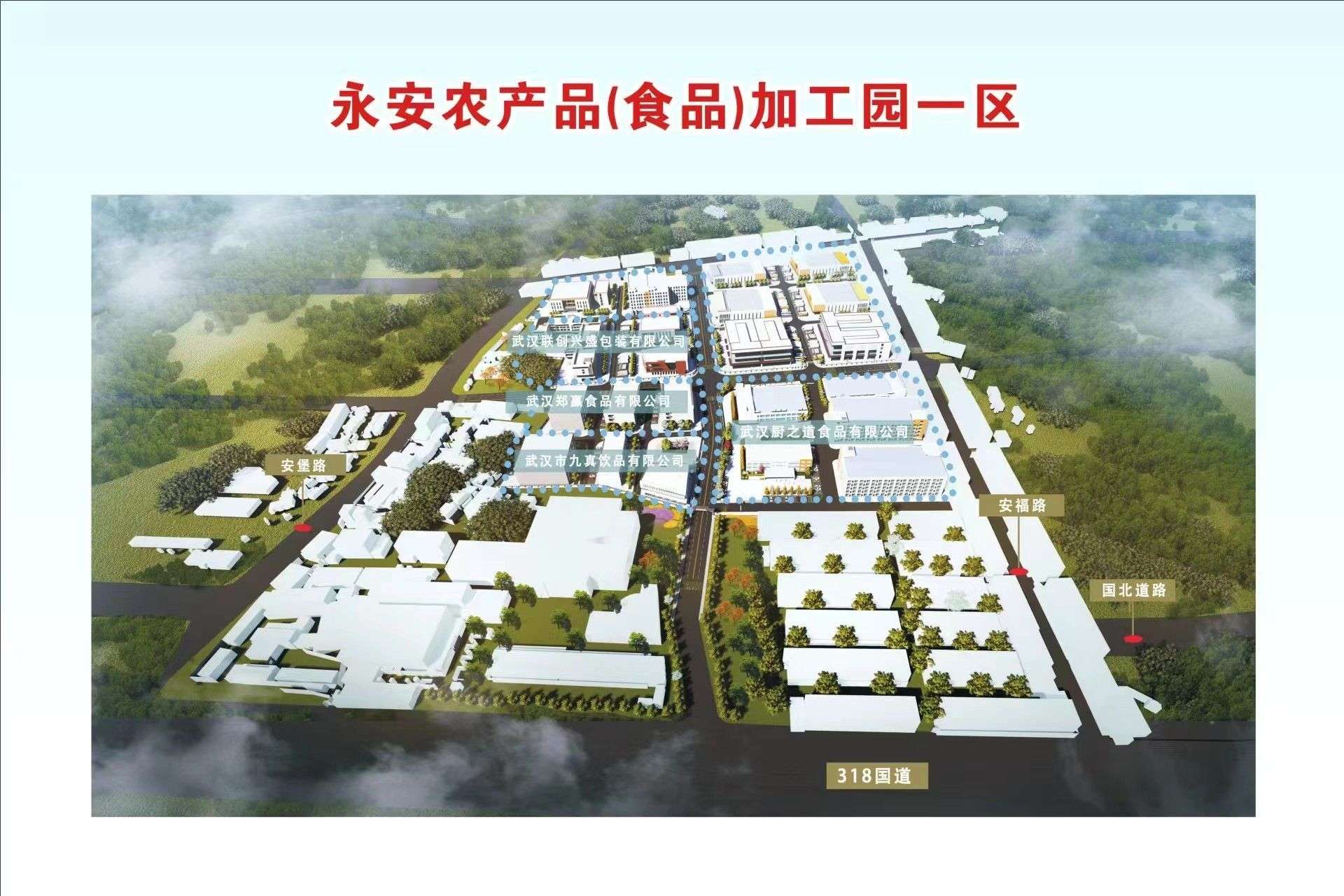 安砂淮山：从种植到餐桌的故事