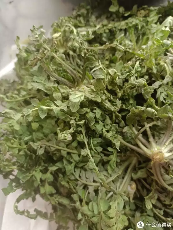 荠菜怎么做最好吃（荠菜是什么样子的） 第2张