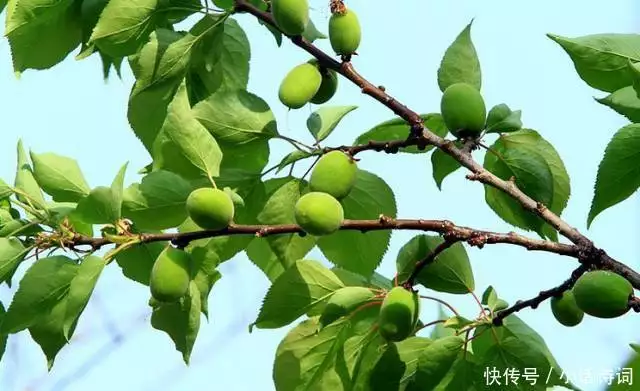 古人是怎样过夏天的？重读这6首写在夏天的古诗词，感受古人的夏日攻略这是我见过最有气质的外婆：60岁身材微胖却优雅，穿衣更温柔贵气 第1张