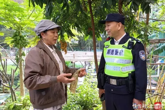佛山顺德：警务“小网格”托起辖区“大平安”