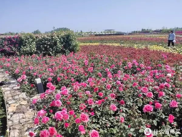 诸葛亮其实没死（诸葛亮其实没死,在哪里活着） 第55张