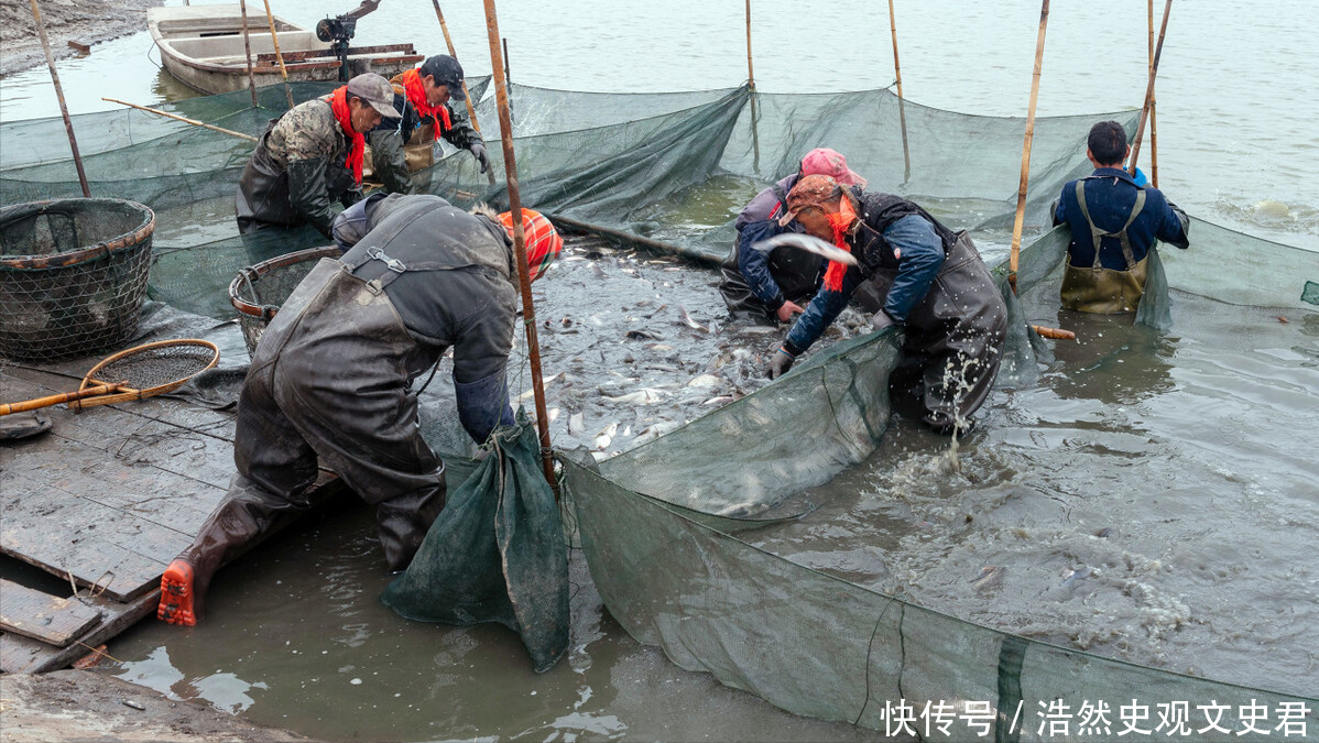 南极磷虾:10亿吨的海上粮仓!中国造最大捕捞船,一年能捕10万吨_【快资讯】
