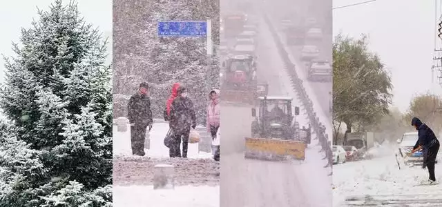 记者直击东北暴雪 因雪太大没去成（东北特大暴雪视频大全） 第14张