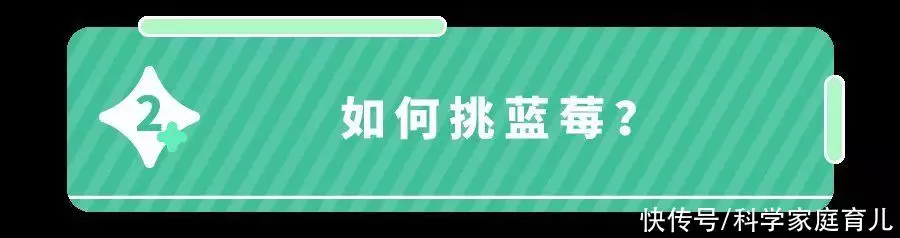 蓝莓的营养价值及功效与作用（草莓有什么营养功效） 第5张