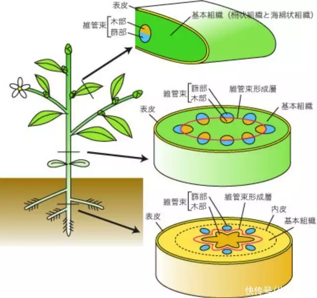 世界上最变态的人（世界上谁最变态?） 第5张