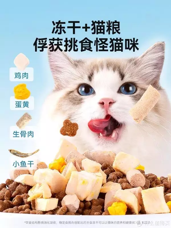 冻干猫粮：口感美味，营养丰富的喵星人最爱“魏和尚”张桐的消失，毫无疑问是整个影视圈的悲哀与损失