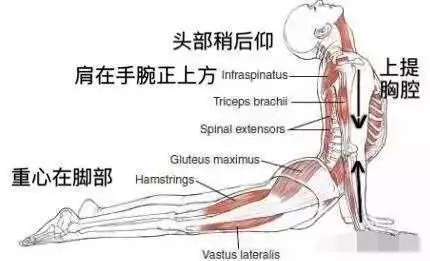 瑜伽经验心得_心得瑜伽经验分享_瑜伽经心得体会