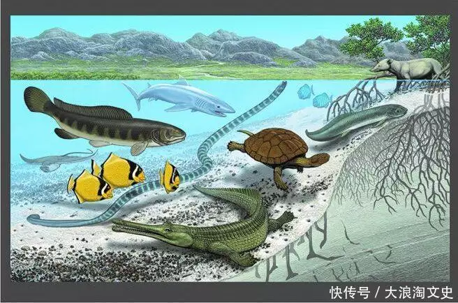 章鱼来自外星？太阳系有个地方可以证明，这个猜测是否正确