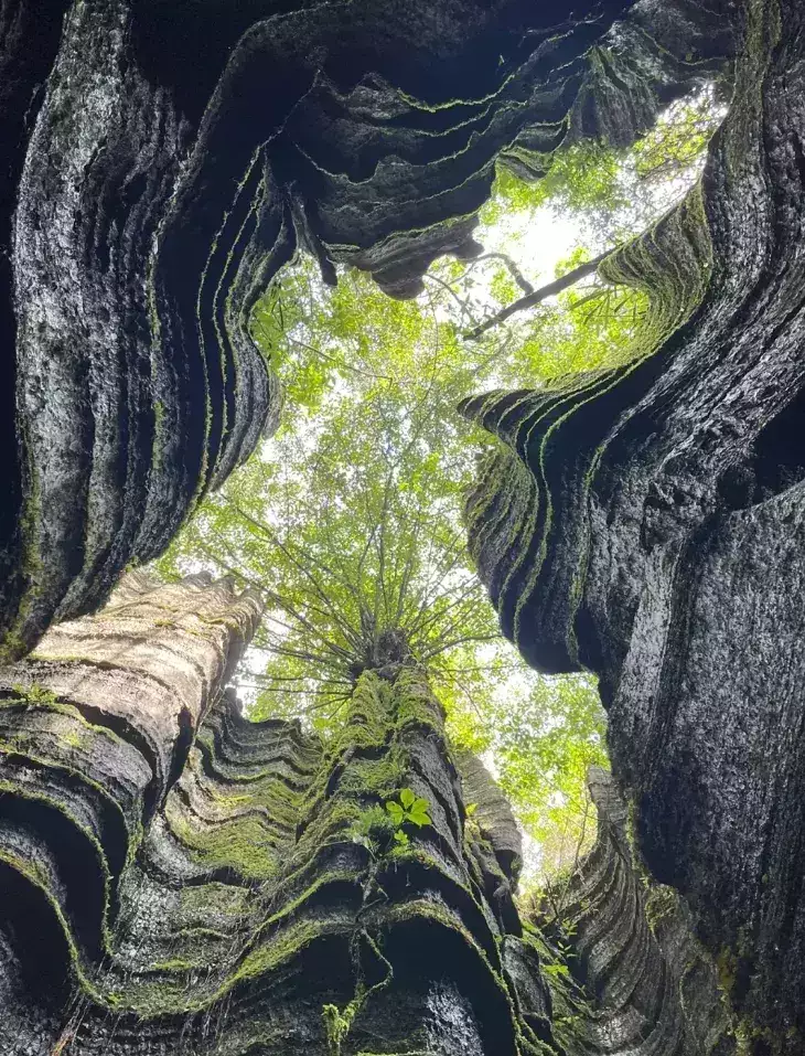 五一拼假9天，怎么玩？完美小众旅行目的地帮你安排好了！狼子野心藏不住，一直在“扮猪吃老虎”的赵丽颖终于暴露了(图83)